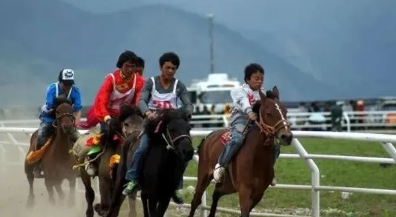 云南省迪庆州香格里拉人民记忆中的端午赛马会
