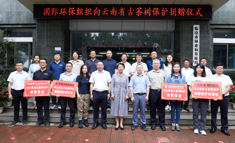 国际环保组织开展捐赠活动 助力云南省古茶树资源保护