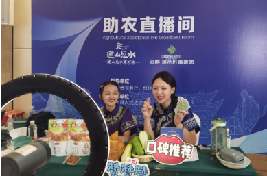 第7届中国-南亚博览会  产业发展 建水县“建山见水”区域公共品牌在昆发布