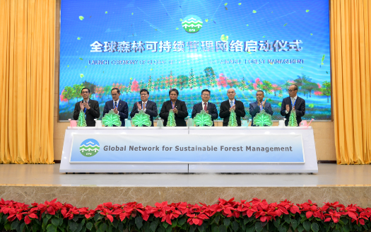 全球森林可持续管理网络在云南普洱启动