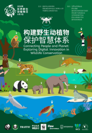 智慧保护  和谐共生     云南开展2024年“世界野生动植物日”宣传