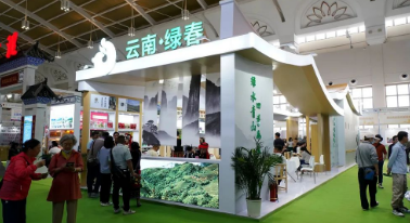 系统报道二 绿春茶叶亮相第十六届普洱茶博览会