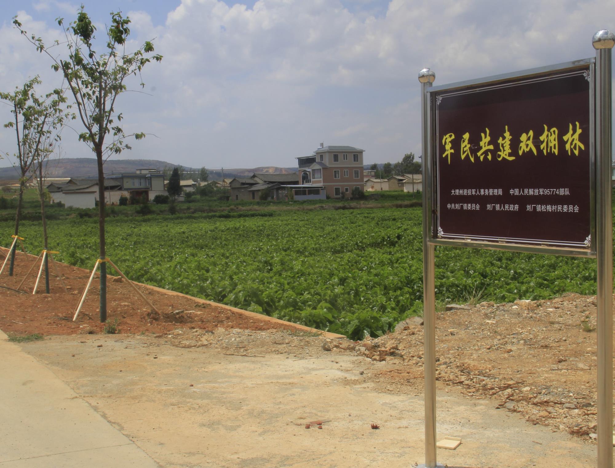 云南祥云县军民并肩扩绿护绿兴绿传佳话