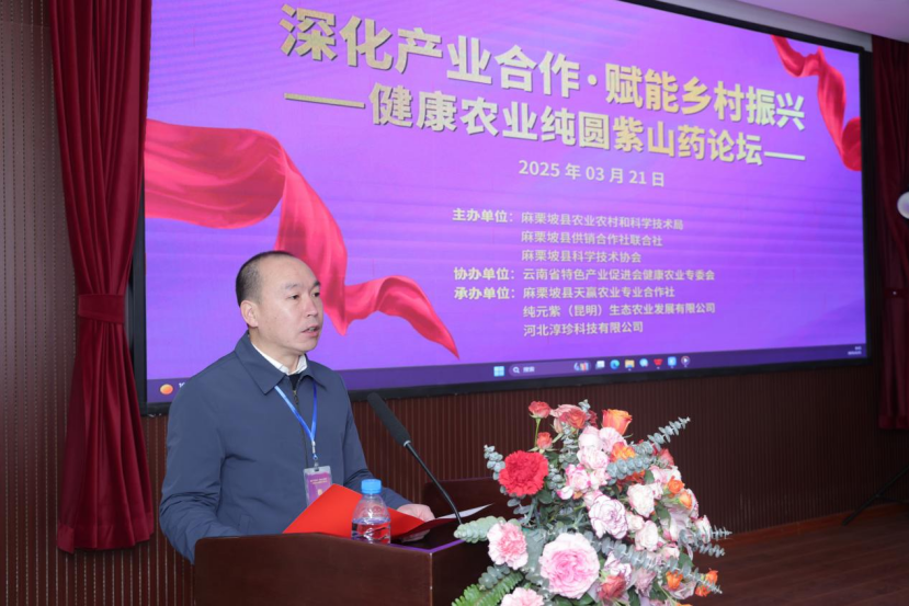 2025年麻栗坡县有机纯圆紫山药论坛成功举办  政企研携手共绘乡村振兴蓝图
