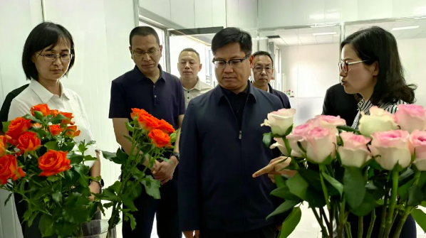 要闻｜陈真永到鹤庆县调研时强调 集中力量做强做优资源型产业 为全州经济增长贡献鹤庆力量