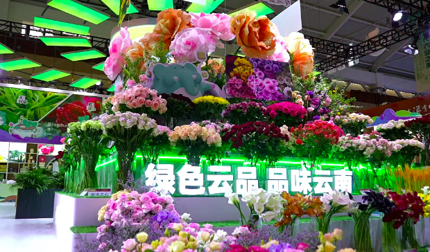 第九届南博会现代农业馆开馆：八味云南 燃动盛夏购销热潮