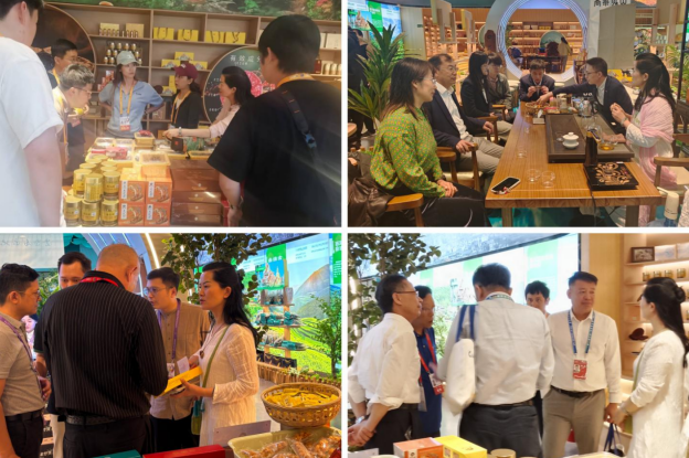 全球首款“灵芝多糖速溶片”在南博会国象形象馆展出 ——云之凰诚邀您共享发展机遇