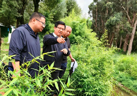 要闻｜陈真永率队巡查洱海生态环境保护治理工作时强调 坚持系统治理精准施策 持续巩固洱海保护治理成效
