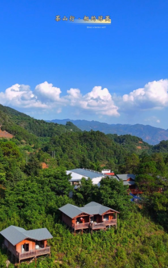 凤庆县出了一个乡村旅游“网红火塘”琼英茶山