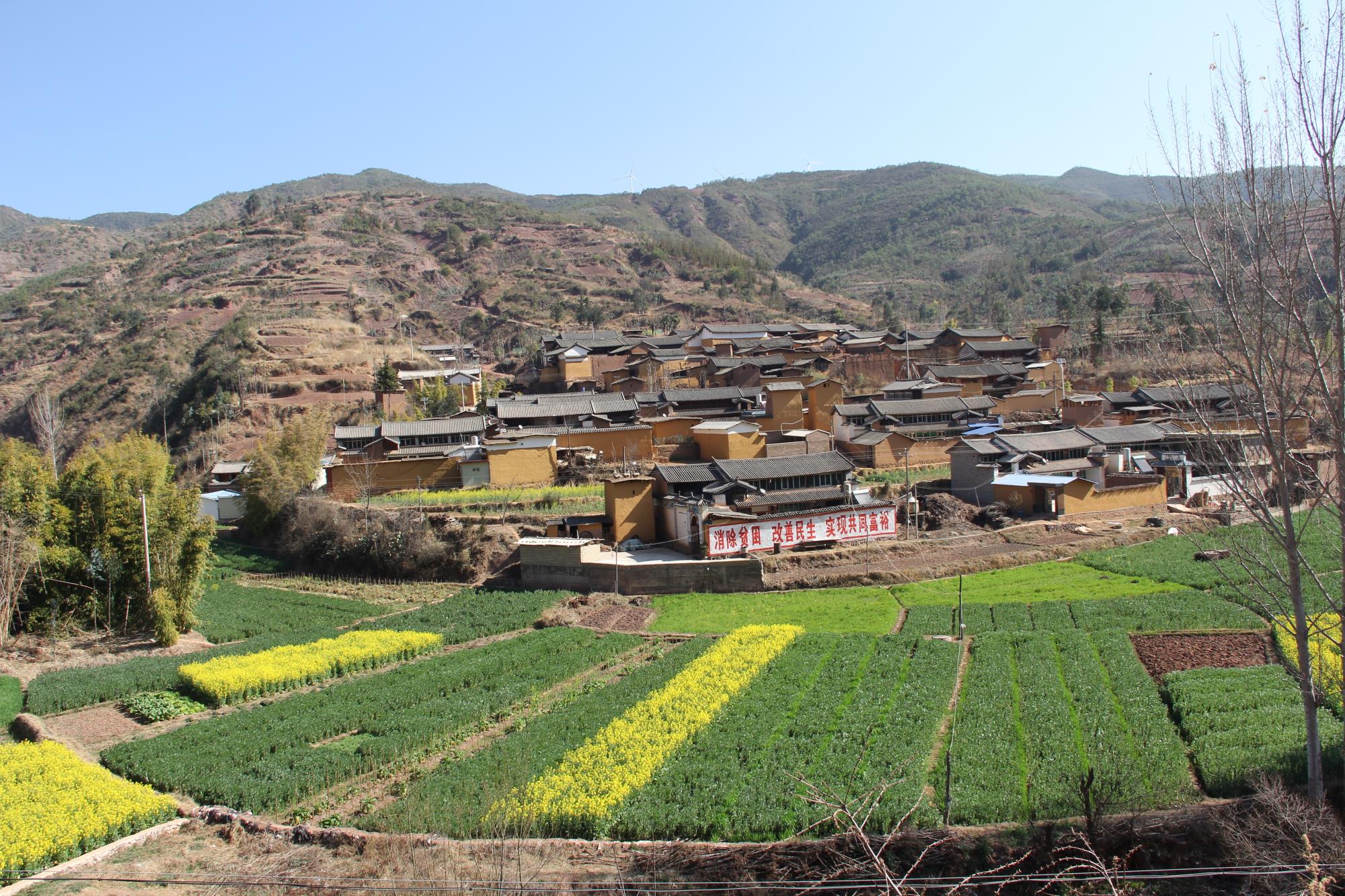 绿美山村笑颜开