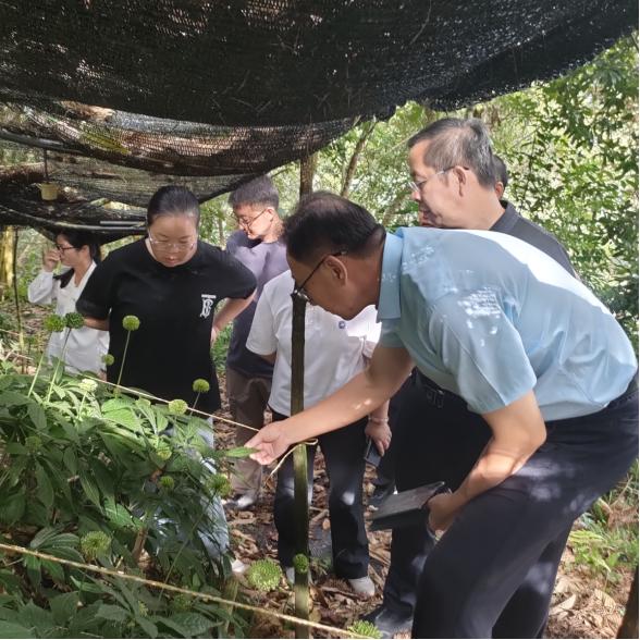 中国热带农业科学院党组领导到文山州开展科技工作调研