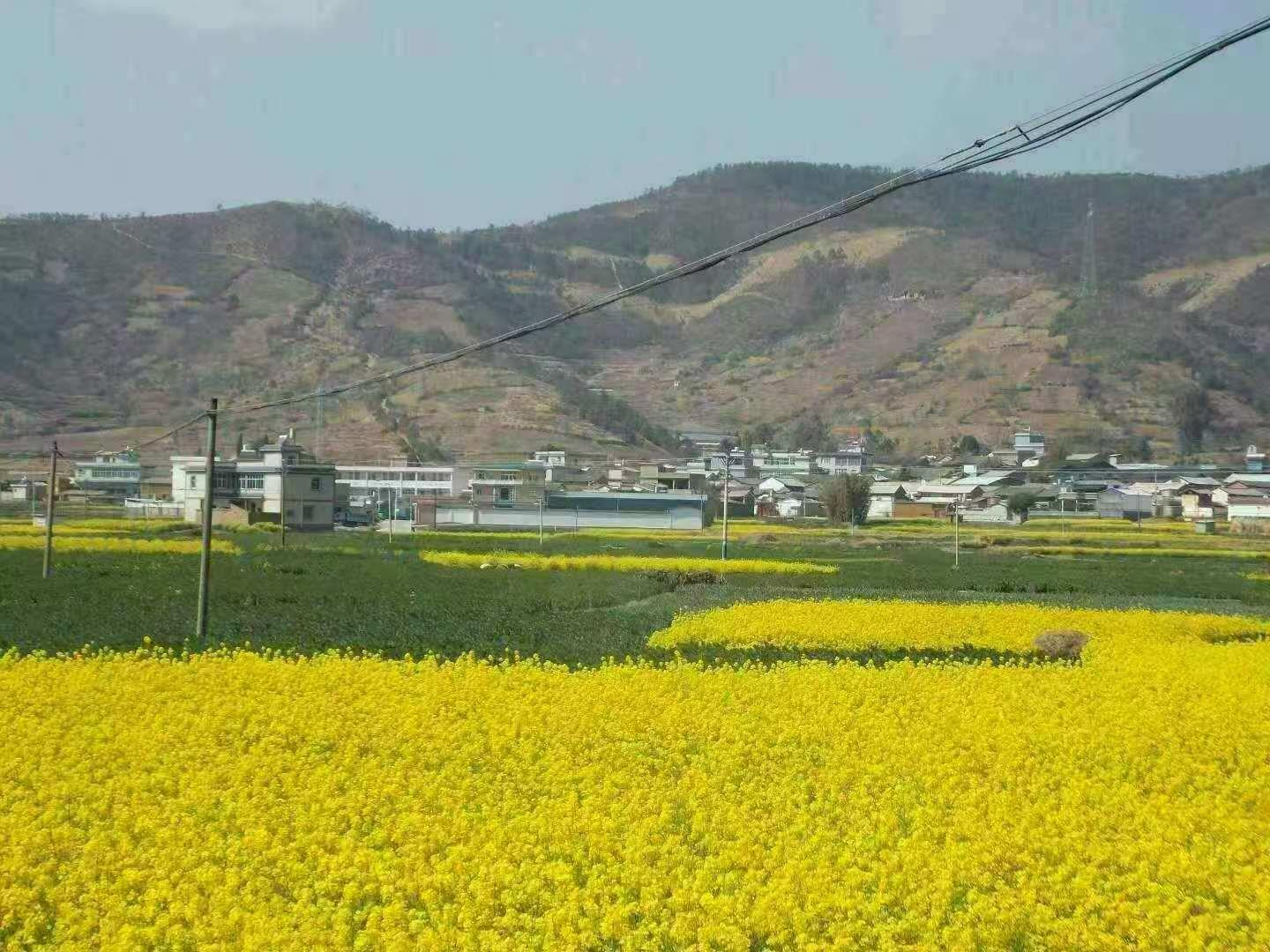 朝阳地村民的家国情怀