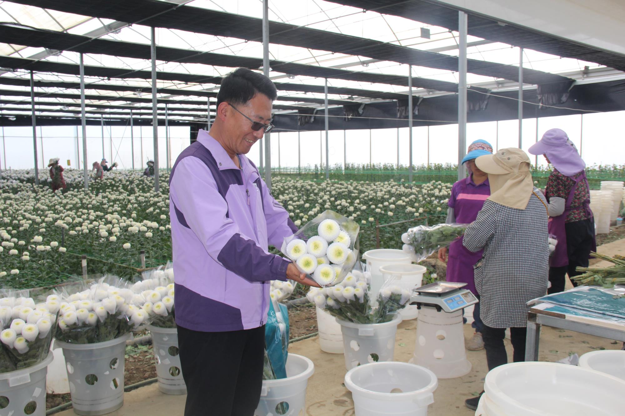 云南祥云县推进特色农业发展拓宽群众增收渠道