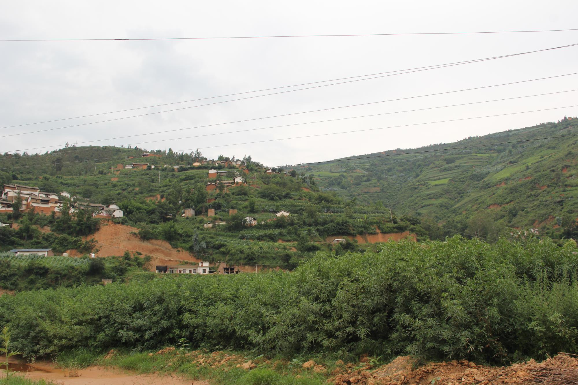 云南祥云县退耕还林让山川着绿林海生金