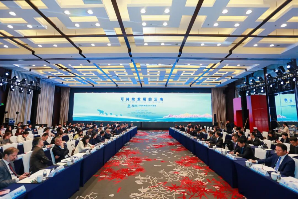 “云南与跨国企业对话会”在第八届进博会期间成功举办