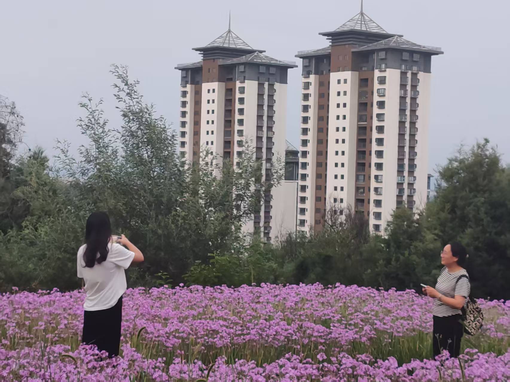 云南祥云县守住“红线”延伸“绿链”做大特色产业