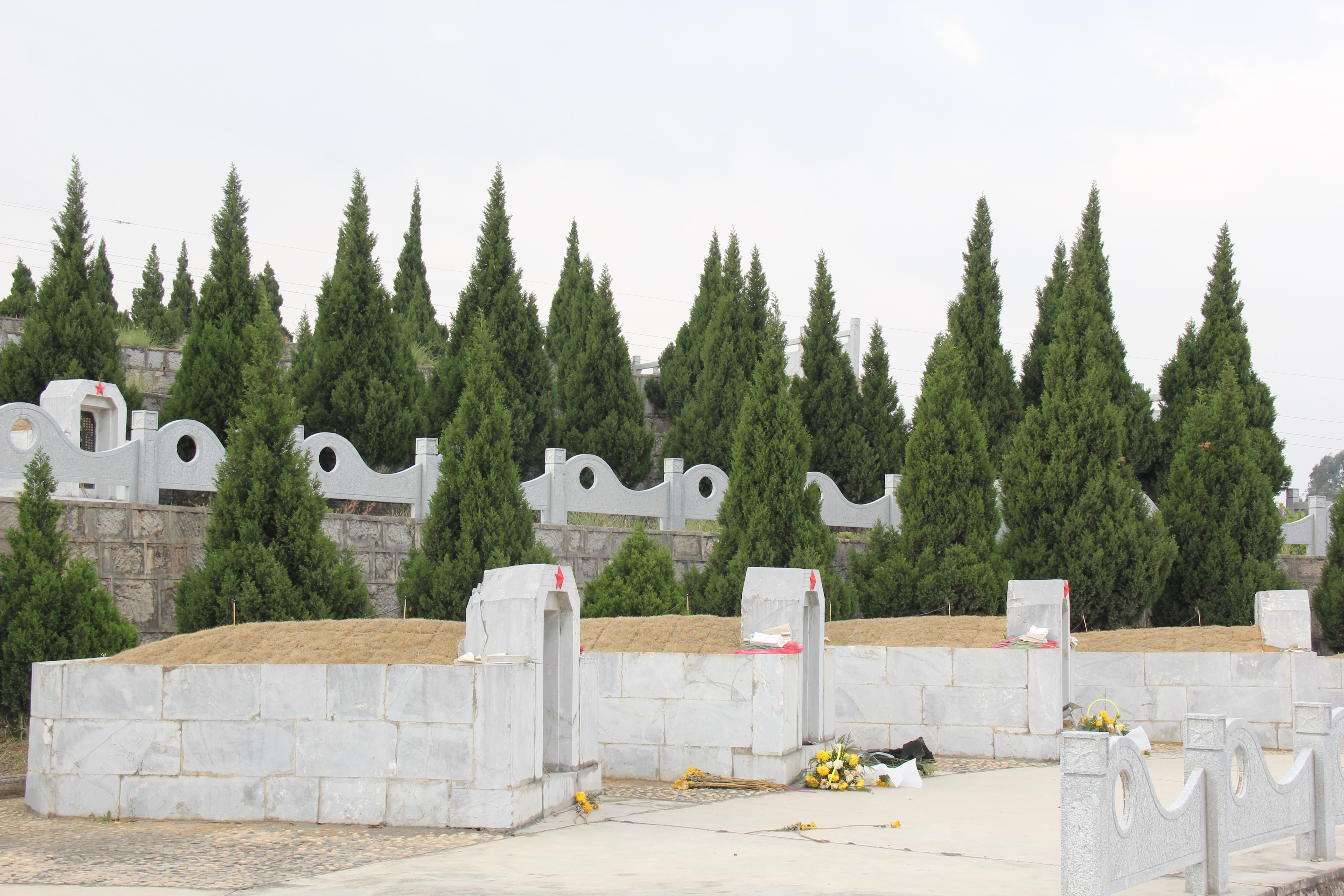 到祥云烈士陵园缅怀先烈