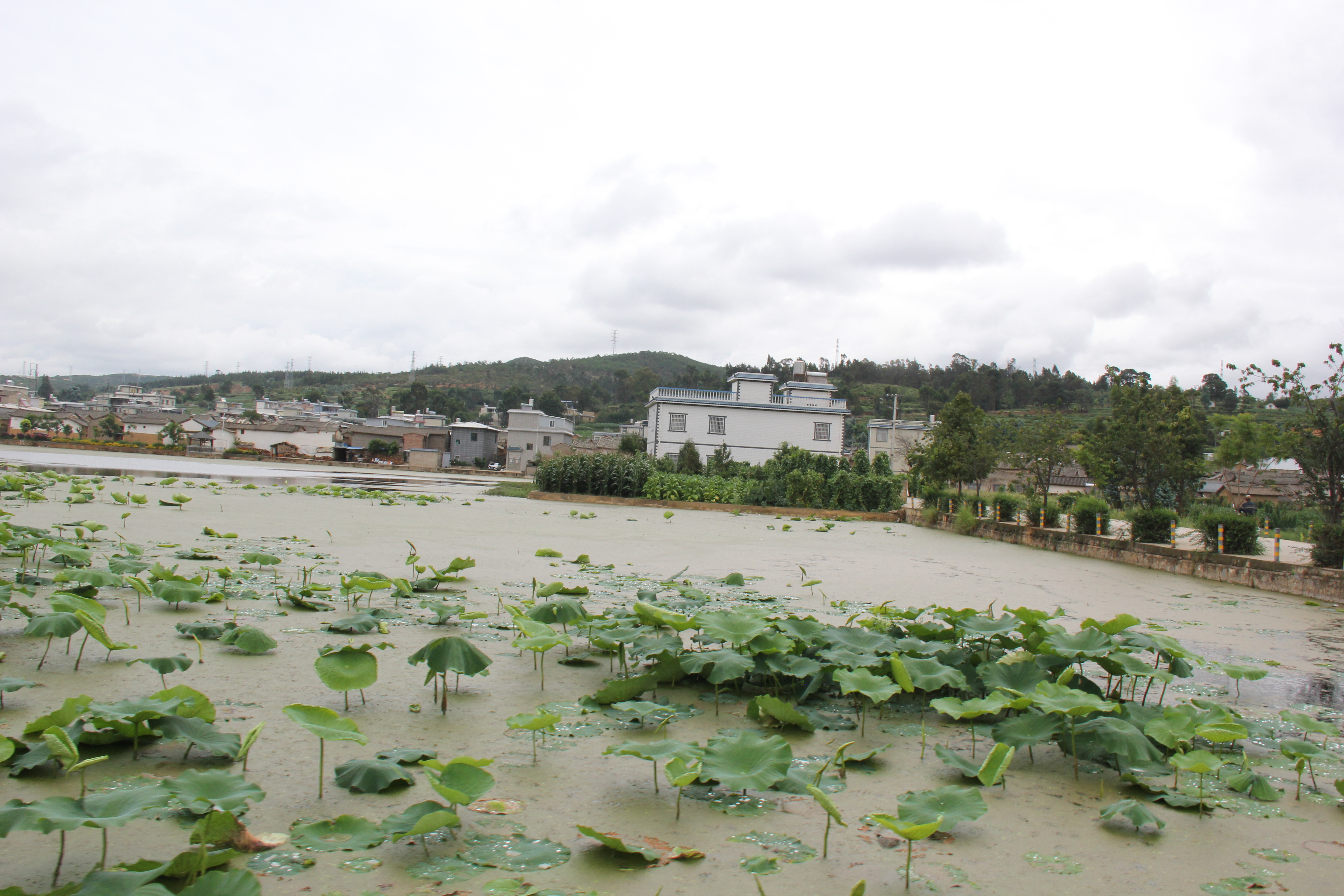 云南祥云县全力推进小流域综合治理