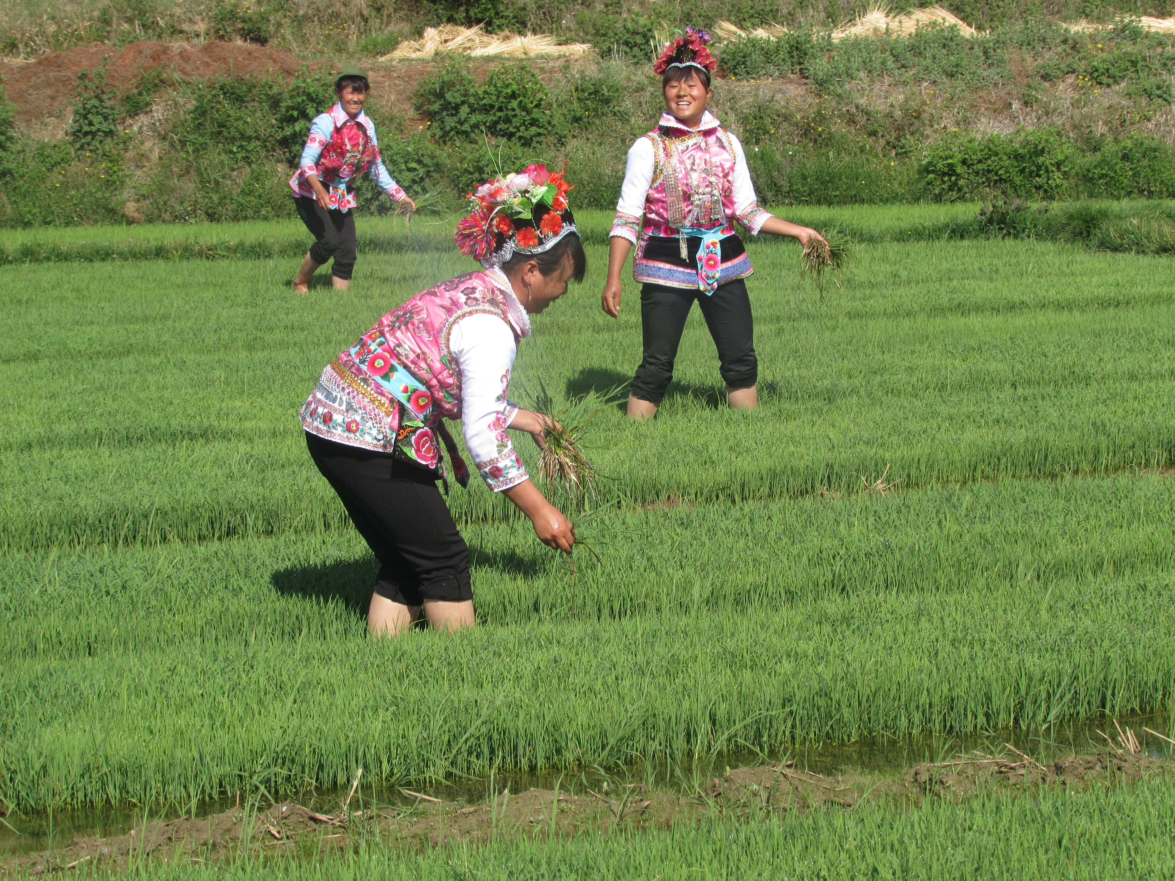 云南祥云县高标准农田建设为乡村振兴强基赋能