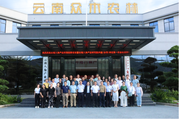 云南八角产业研究院2025年培育建设 成果丰硕