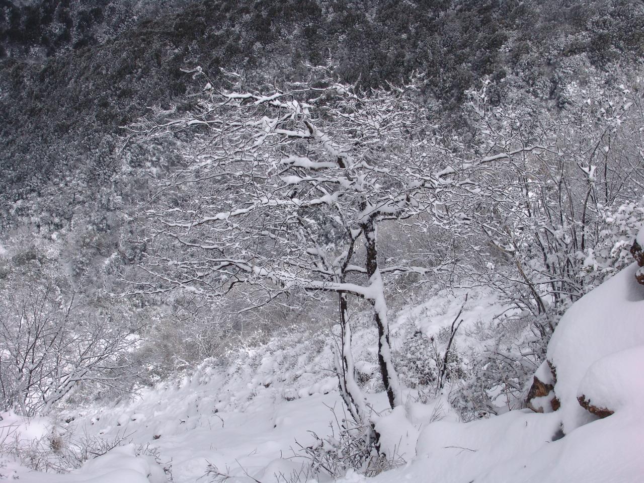 云南祥云县持续推进河长制让河水清河道美