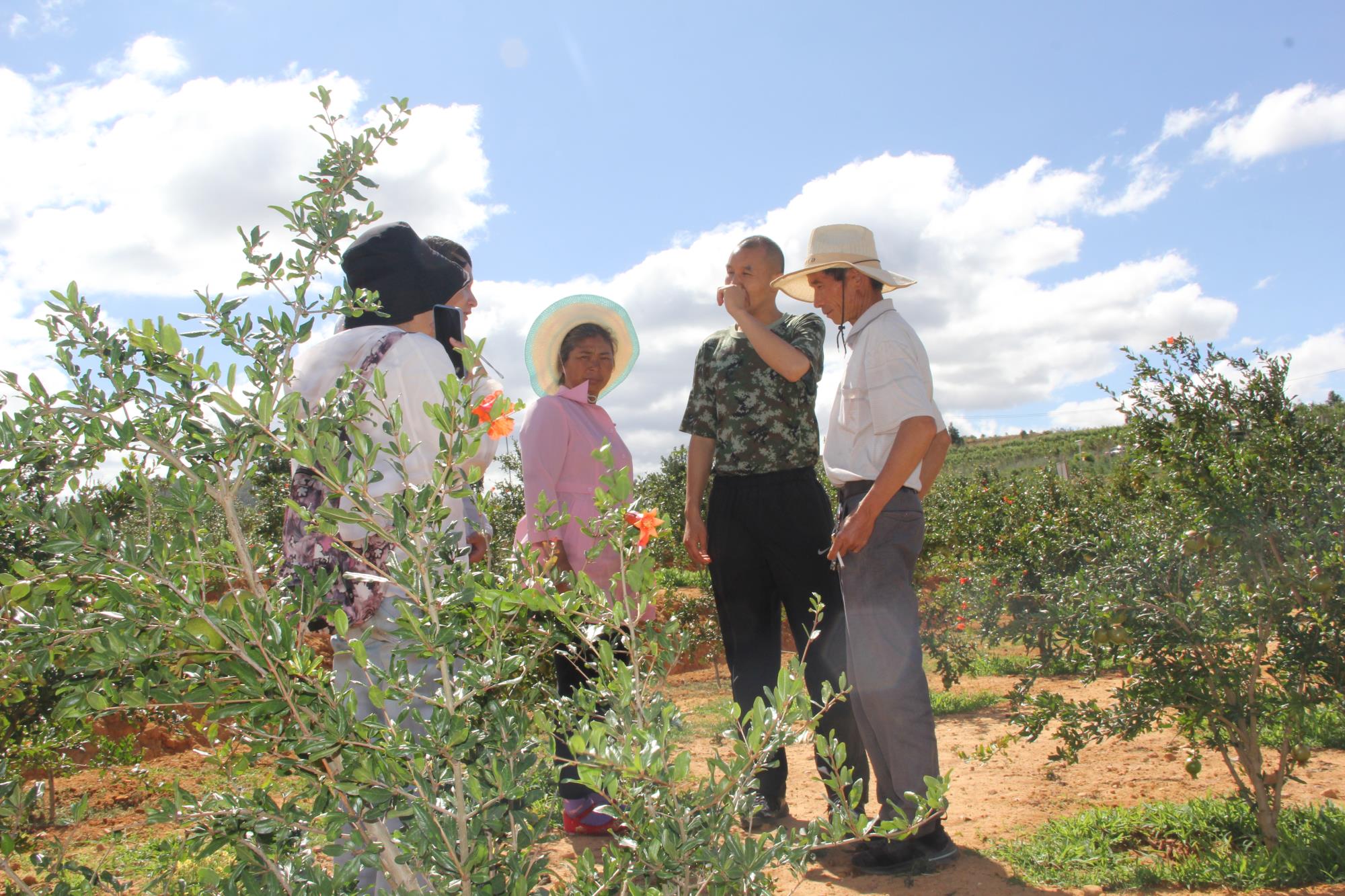 云南祥云县拓宽就业渠道助力群众增收致富