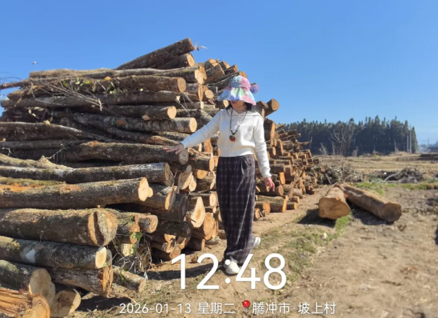 冬日灵芝谷，一段段栎木的“修仙”之路