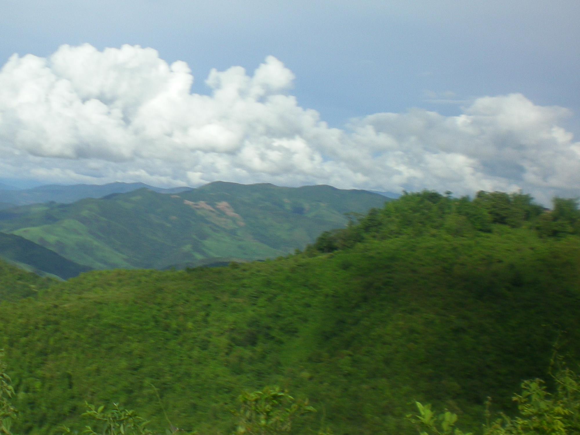 云南祥云县发挥“林长制”作用织密织牢森林防火网