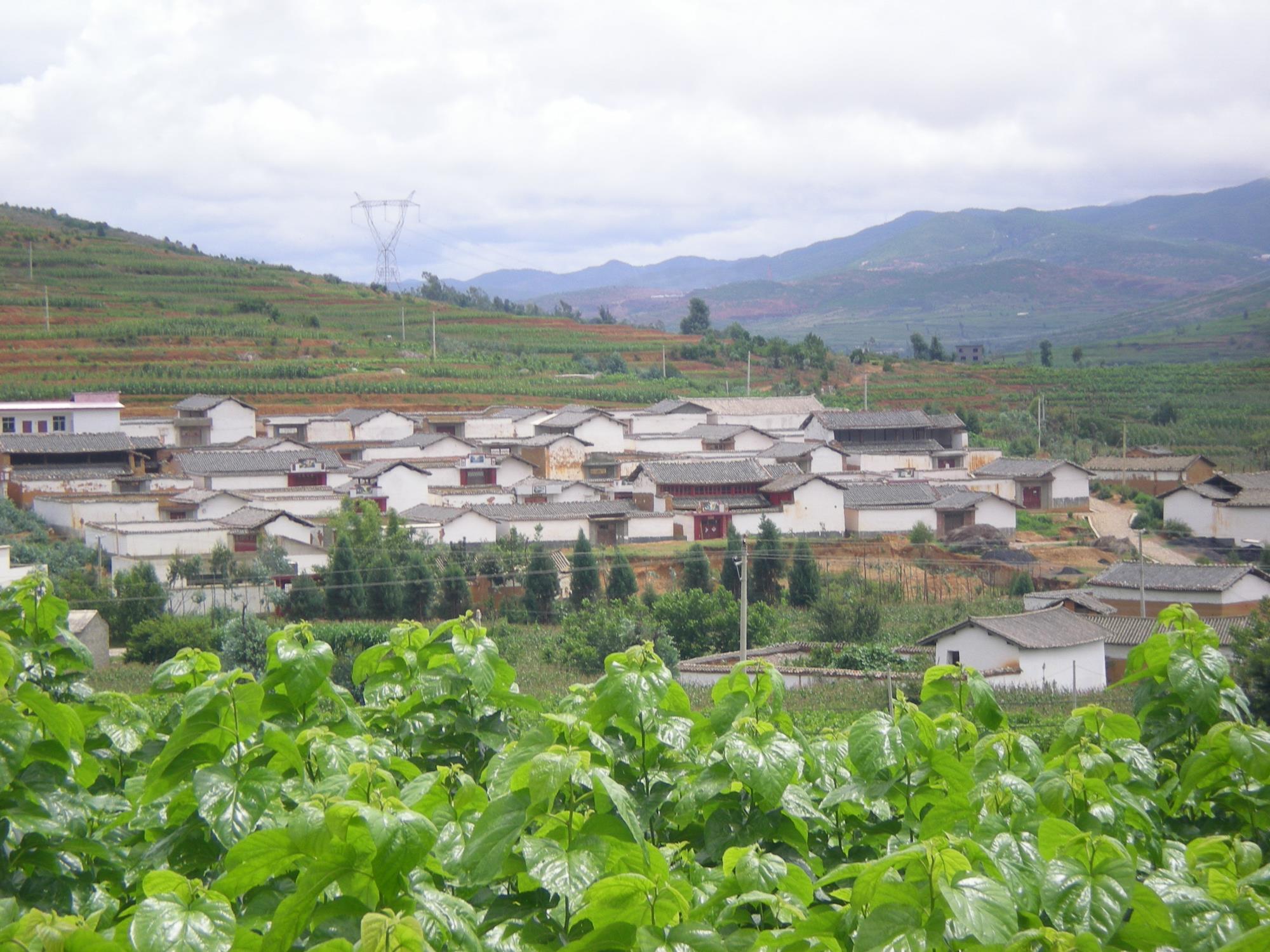 云南祥云县优化生态文明建设拓宽群众增收渠道