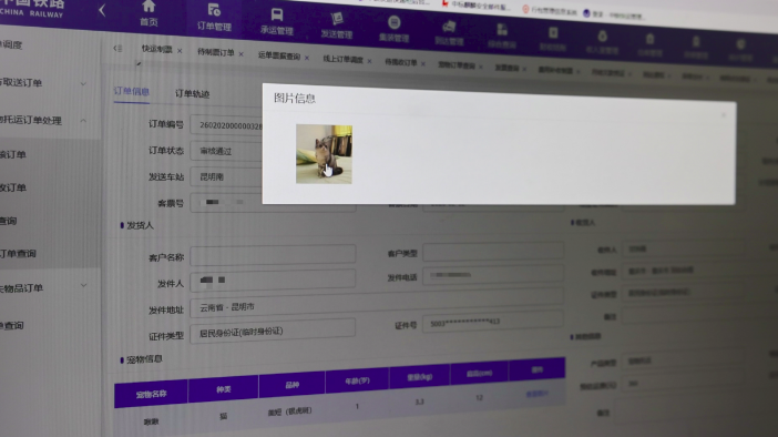 2026春运：云南铁路让你“轻装”出行  带上“毛孩子”回家