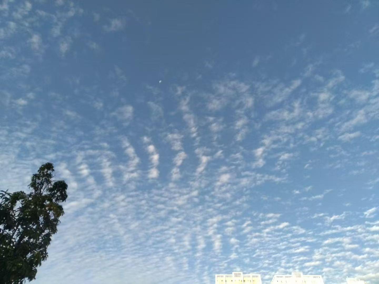 云南永胜片角千年初探