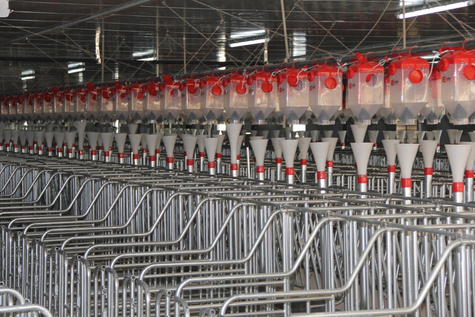 云南祥云县做强生猪产业加速推进农业绿色产业高质量发展