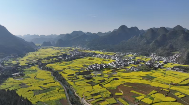 三八节”赏花潮来临 云南铁路多措并举助力旅客出行
