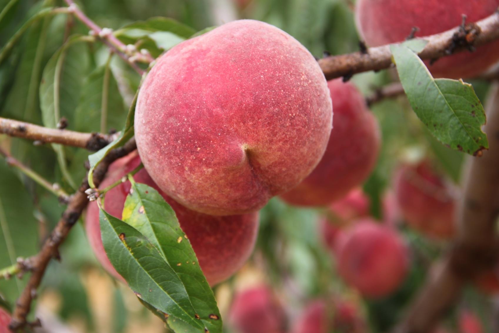 云南祥云县人大常务委员会工作卓有成效