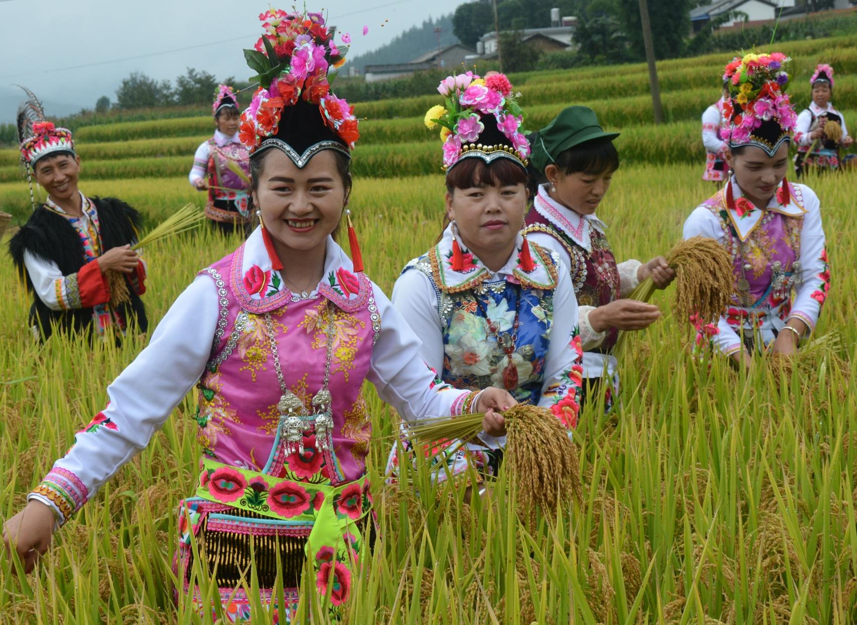 云南祥云县全力推进绿色发展