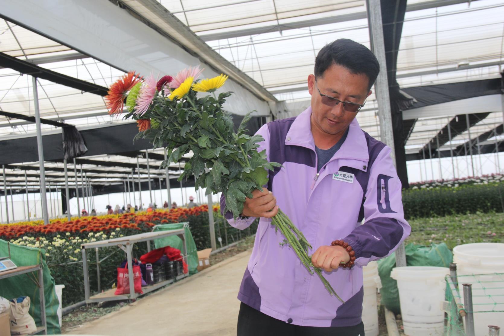 云南祥云县特色产业铺就致富路