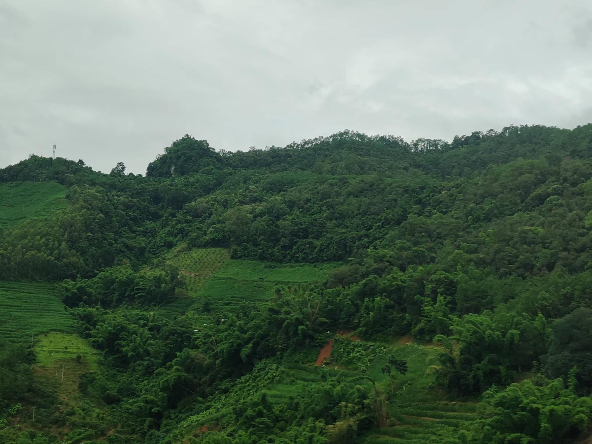 云南祥云县检察院工作取得新进展