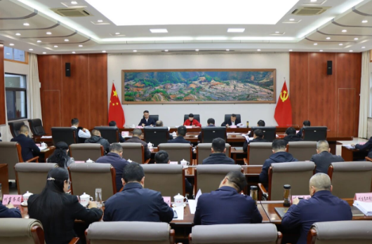 红河州政府召开第84次常务会议 深入学习贯彻习近平总书记重要讲话和全国两会精神