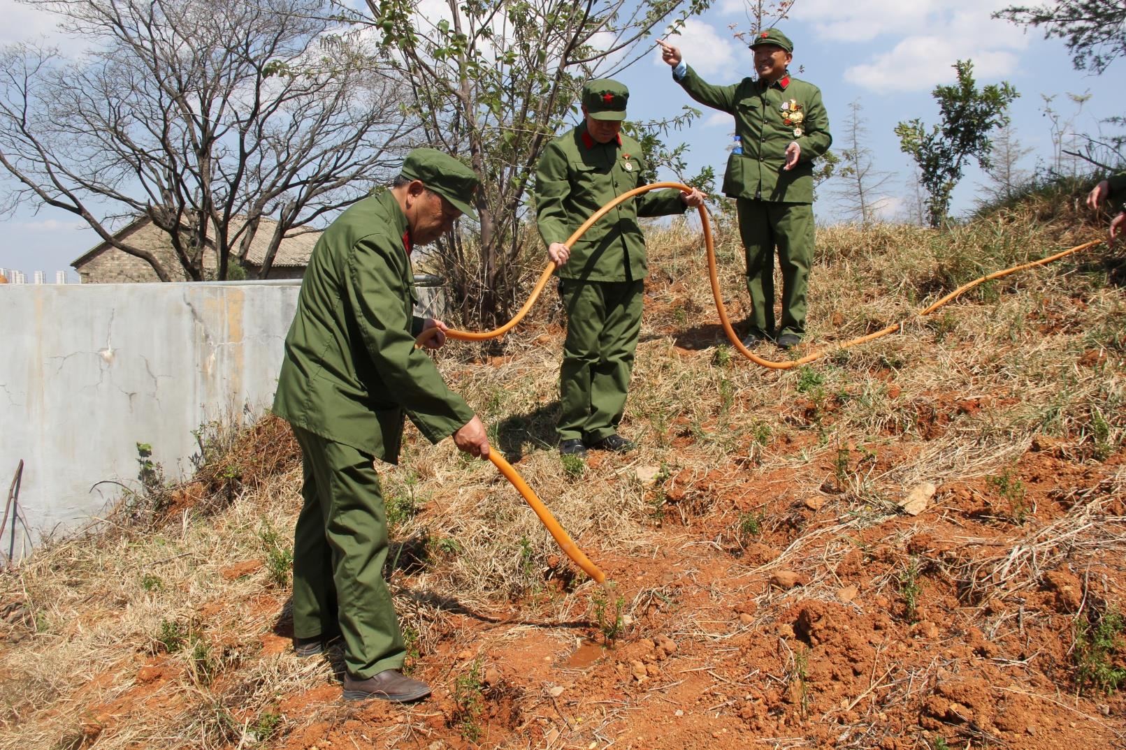 一片兵心护绿情