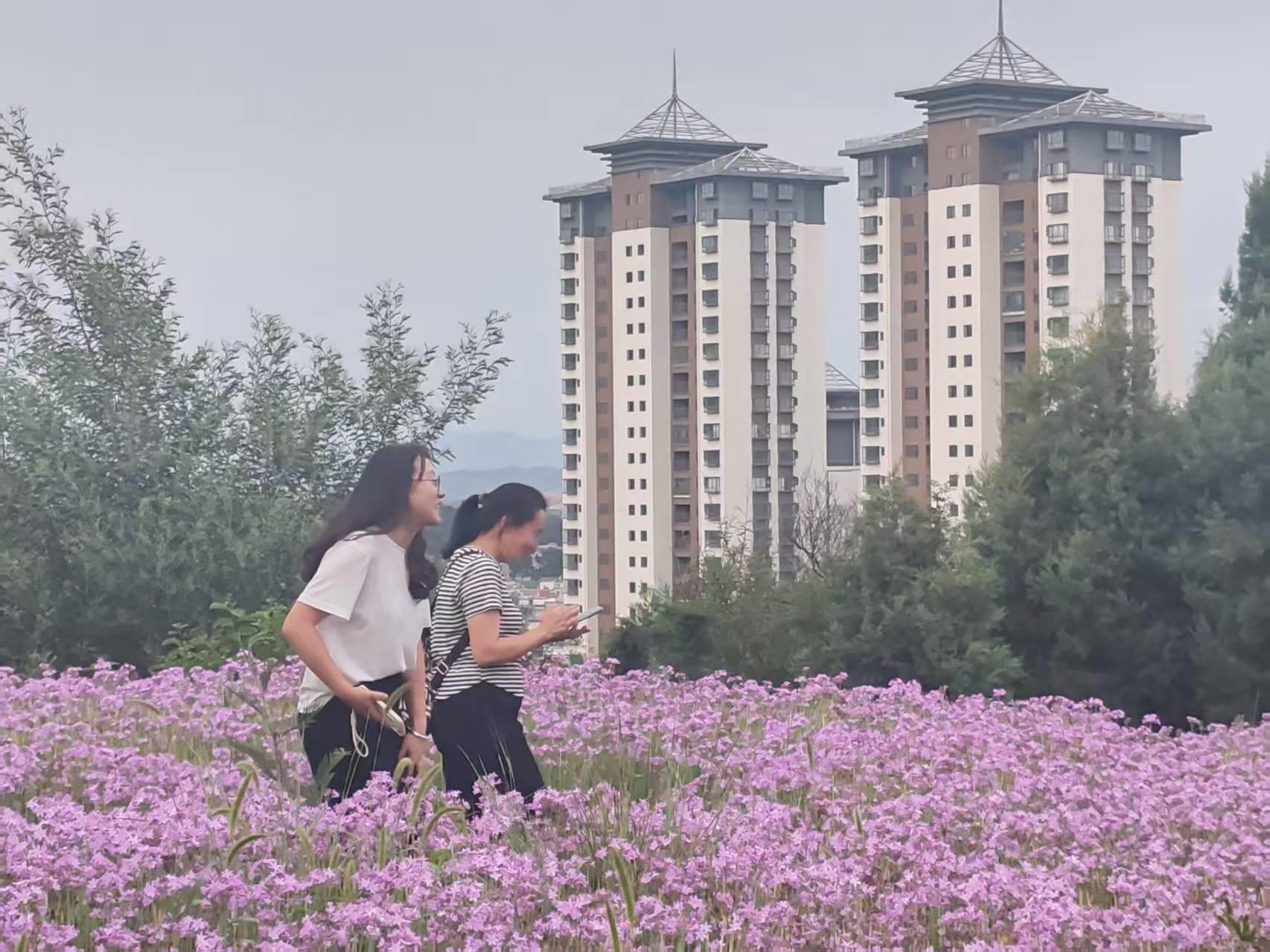 云南祥云县推进园艺事业发展拓宽增收渠道