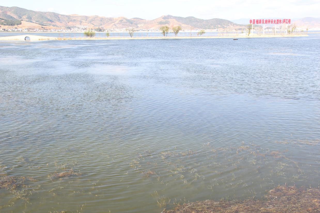 云南祥云县聚焦“三农”推动灌区建设提升抗旱防汛能力