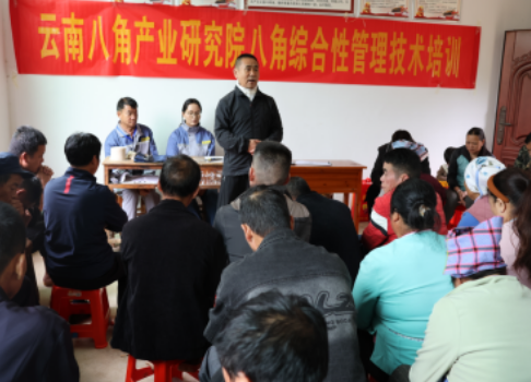 云南八角产业研究院强化技术培训  科技赋能八角产业高质量发展