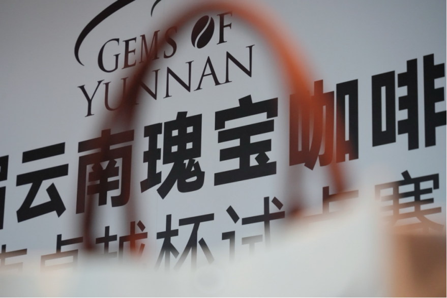 5天·169支豆·12位评审：2026云南卓越杯试点赛国内赛段圆满收官