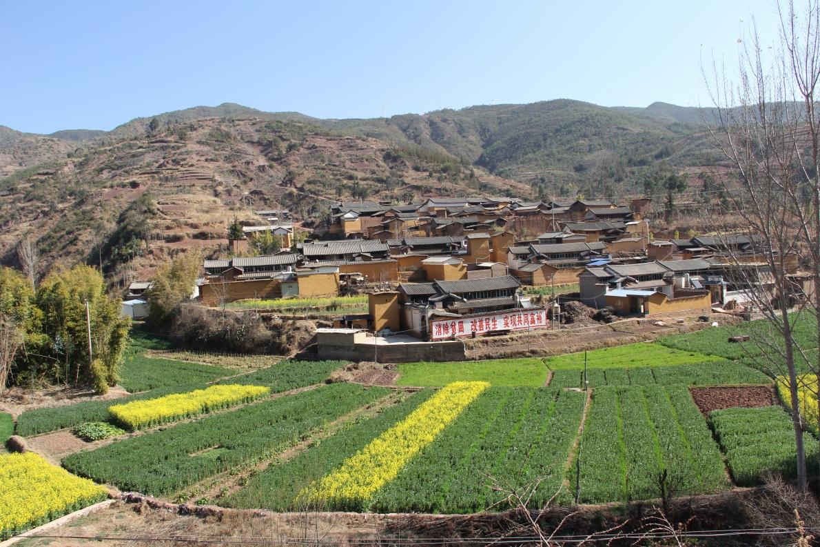 云南祥云县金旦山村春常在