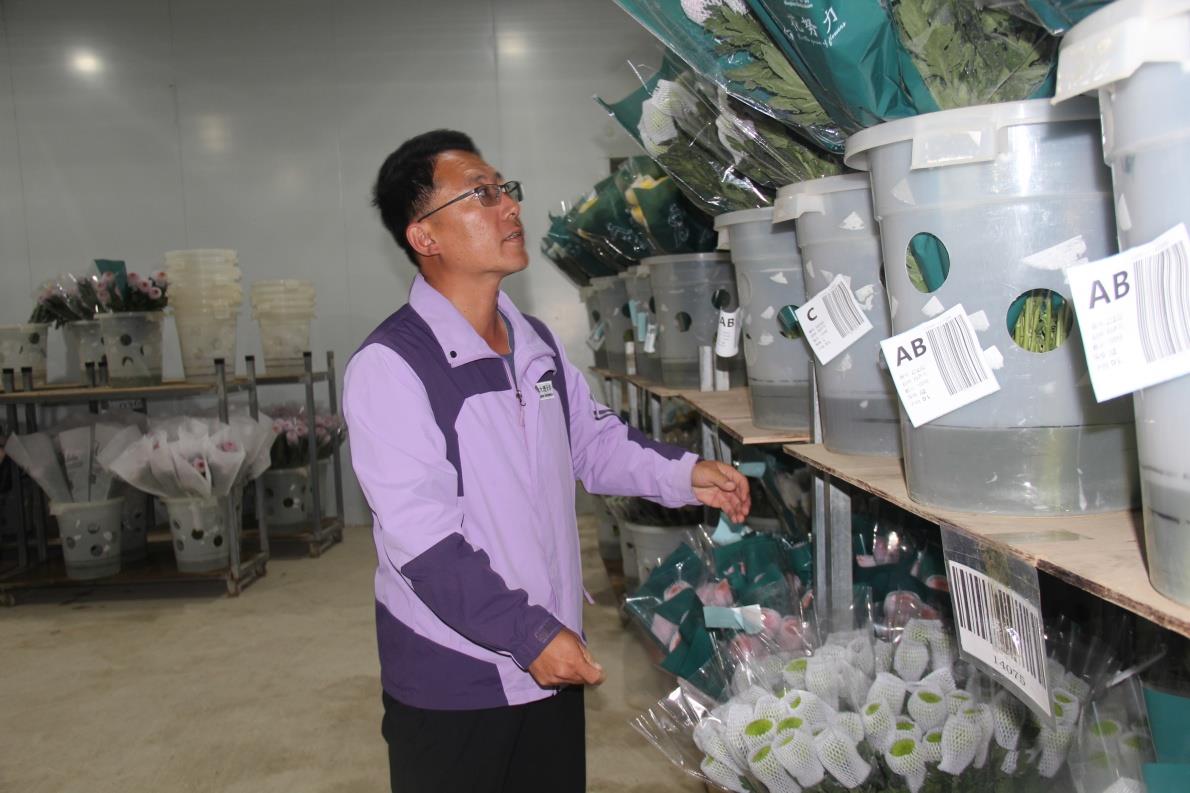 云南祥云县以绿色防控技术为平台培植晚秋水果