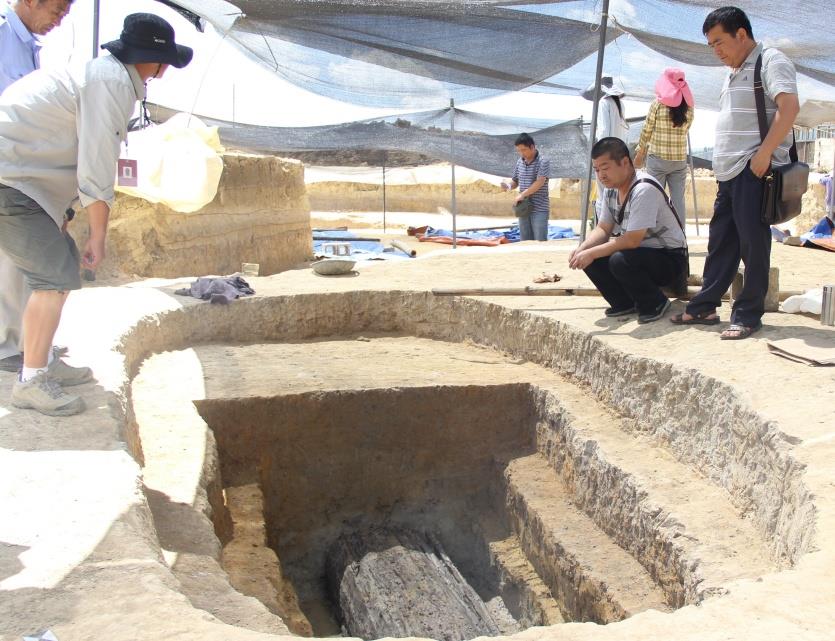 【以史为鉴，开创未来：大波那考古历程回眸】大波那墓地入选2014年度全国十大考古新发现