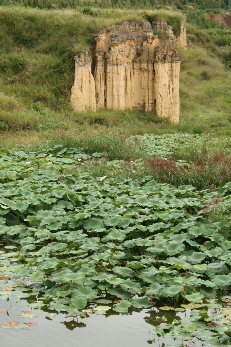 云南祥云县加快推进湿地建设