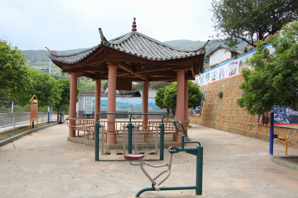 共建花开彩云乡